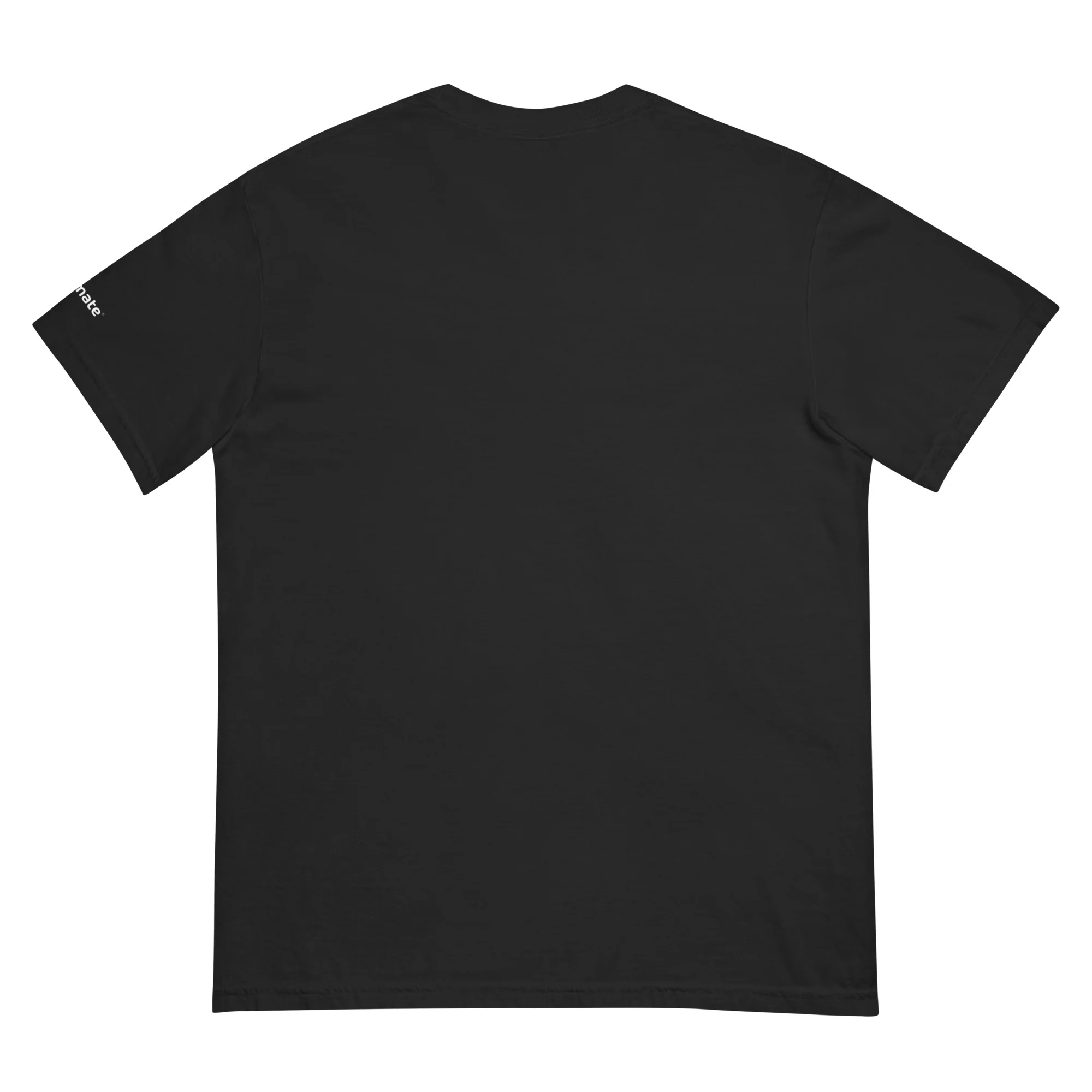 Sarina Sapphire t-shirt - Image 3